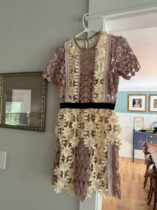 Self-Portrait Blush and Ivory Lace Appliqué Dress - Picture 3 of 10